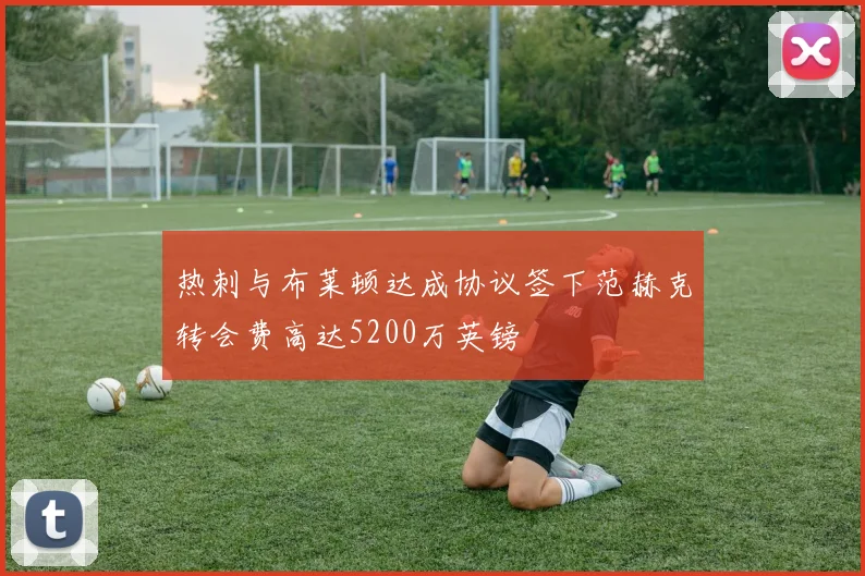 热刺与布莱顿达成协议签下范赫克转会费高达5200万英镑
